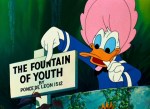 Don's Fountain of Youth © Walt Disney