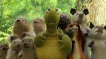 Over The Hedge © Dreamworks