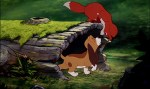 The Fox and the Hound © Walt Disney