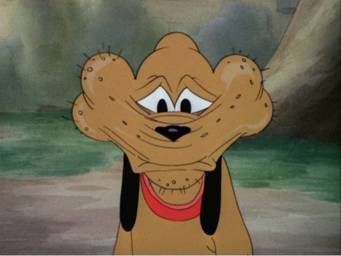 Donald's Dog Laundry © Walt Disney