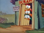 Truant Officer Donald © Walt Disney