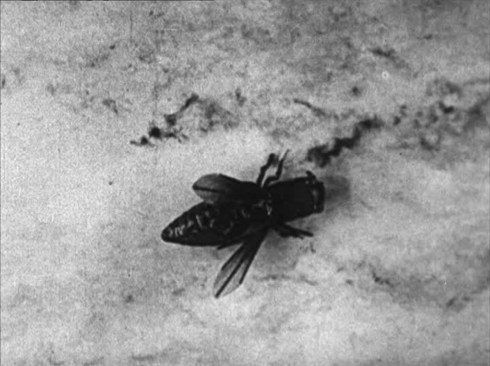 Japon de fantasie © Émile Cohl